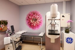 1.The new Senographe Pristina mammography system is designed to make breast screening more comfortab